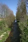 Die Wierau nördlich von Schledehausen