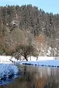in der Nähe der Burg Rabeneck