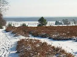 Blick vom Wietzer Berg Richtung Haußelberg
