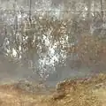 Landschaft mit Schafe (Detail) (MSK Gent)