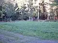 Wildacker