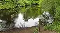 Das Wilde Moor, ehemalige Quelle der Tarpenbek-West