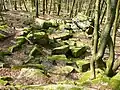 Blick vom Wildfrauhaus zum Großherzog-Ernst-Ludwig-Stein (2020)