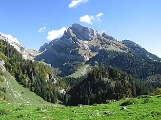 Wildhauser Schafberg von der Laui aus