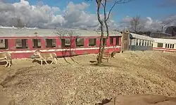 Onager beim entgleisten Zug