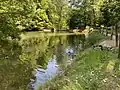 Fischteich mit Enten