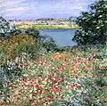 Garten mit Mohnblumen