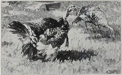 Schreiender Truthahn (1910)