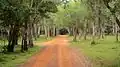 Wilpattu-Nationalpark