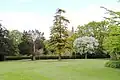Verschiedene Bäume im Park