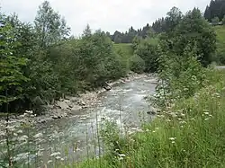 Sommervegetation beiderseits der Ache