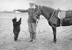 Winnie als junges Tier mit einem Sergeant