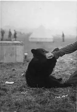 Winnie spielt mit dem Ärmel eines Soldaten