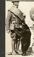 Winnie mit einem kanadischen Soldaten