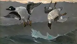 Right and Left, 1909 (Entenjagd)