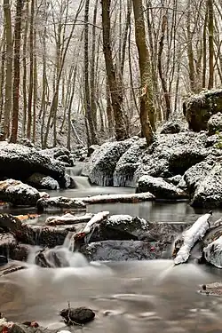 Winter im Leukbachtal
