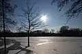 Blick von der 2.&nbsp;Beobach­tungs­kanzel auf die winterliche Bislicher Insel