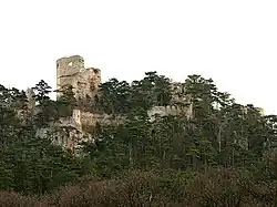 Rechts: Ruine Emmerberg aus Nord (2007), Links: Grundrisszeichnung von 1885