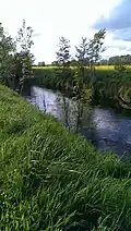 Die Wipper am Sportplatz in Nohra