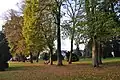Park