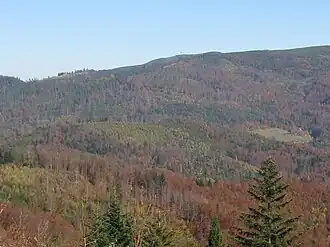 Blick vom Czupel