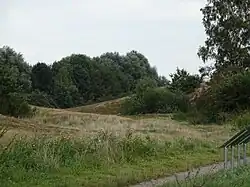 Wisseler Dünen