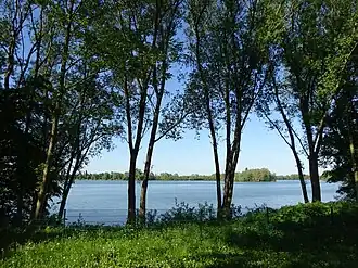 Wisseler See