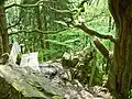 Bank Ehrfurcht im Steilhang auf dem Wittgensteiner Schieferpfad