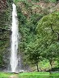 Wli-Wasserfall
