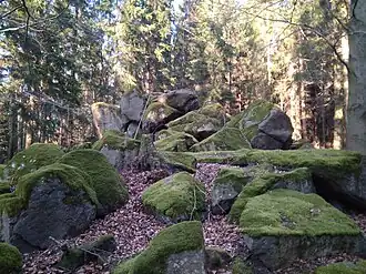 Der Gipfel