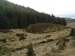 Wormy Hillock Henge
