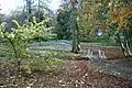 Schlosspark Wrangelsburg