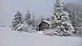 Die Hütte im Winter
