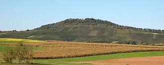 Ansicht von Süden