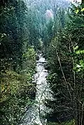 Die obere Wutachschlucht bei der Ruine Stallegg