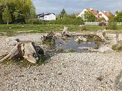 Amphibienbiotop südlich des Skabiosenplatzes