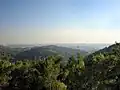 Wald der Märtyrer