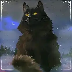 Das Bild zeigt eine große schwarze Katze mit gelben Augen; im Hintergrund sind wesentlich kleinere Nadelbäume, die Mondsichel zwischen Wolken und schemenhafte flatternde Vögel zu sehen, im Vordergrund Schneeflocken und ein weißer Zierrahmen.