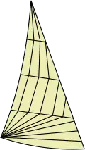 Biradialschnitt