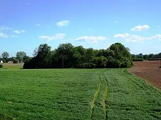 Burgstall Nessau