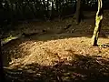 Reste einer Holzkonstruktion im Boden