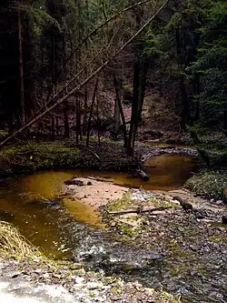 Zeitzbach im Zeitzgrund