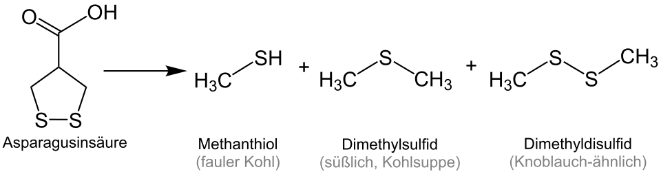 Zerfall von Asparagusinsäure zu schwefelhaltigen Verbindungen