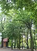 Schlosspark mit Konzertmuschel