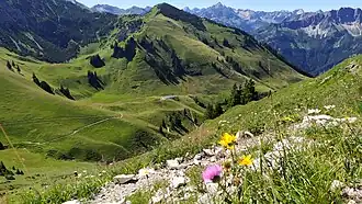 Zipfelsalpe