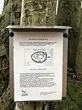 Infotafel