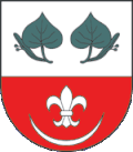 Lindenblätter mit Lindenblüte (Pozořice (Posorschitz)/CZ)