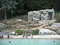 Pinguinbecken