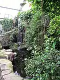 Regenwaldhaus Südostasien (2000)