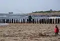 Deich und Strand